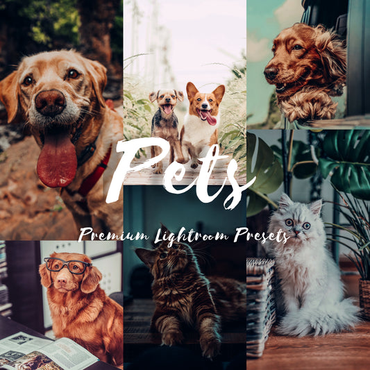 Lily Premium Lightroom Presets these presets are optimized specifically for white pets photography to save your time editing and instantly enhance your photos proudly designed by Reinhard Liem.